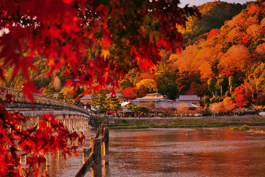 Arashiyama Autumn