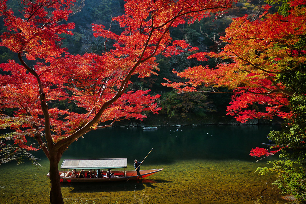 Arashiyama Autumn