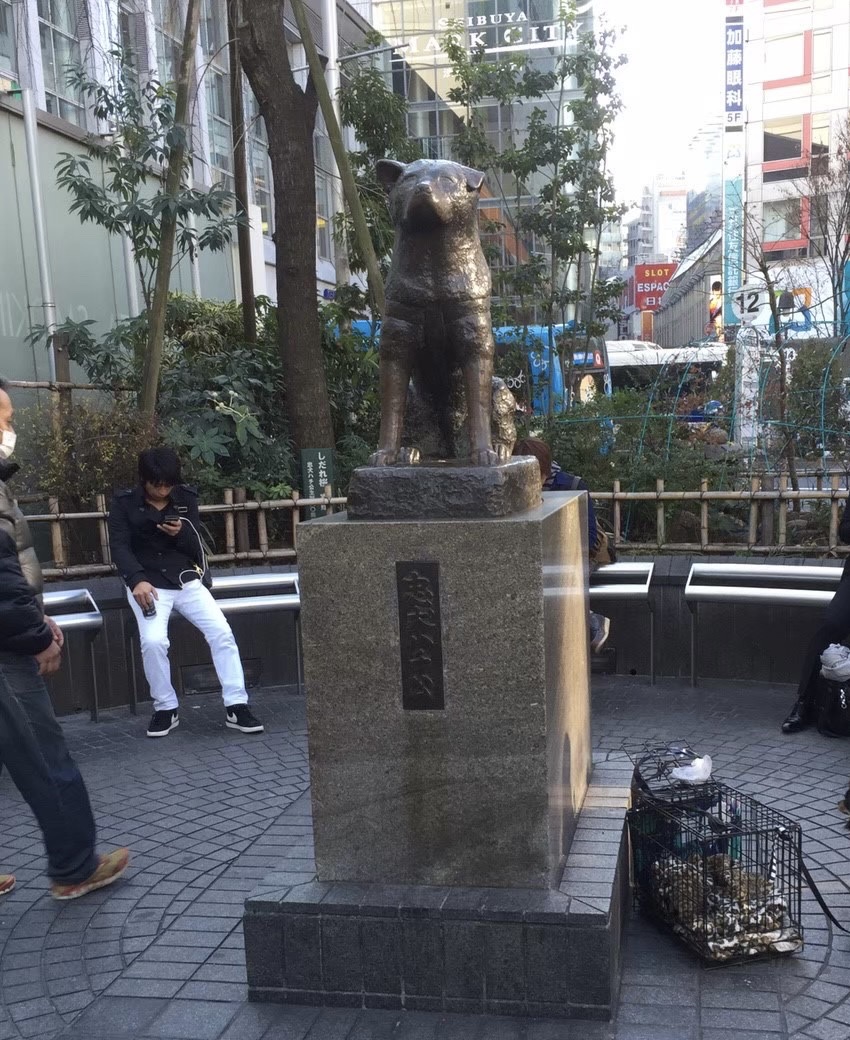 Hachiko