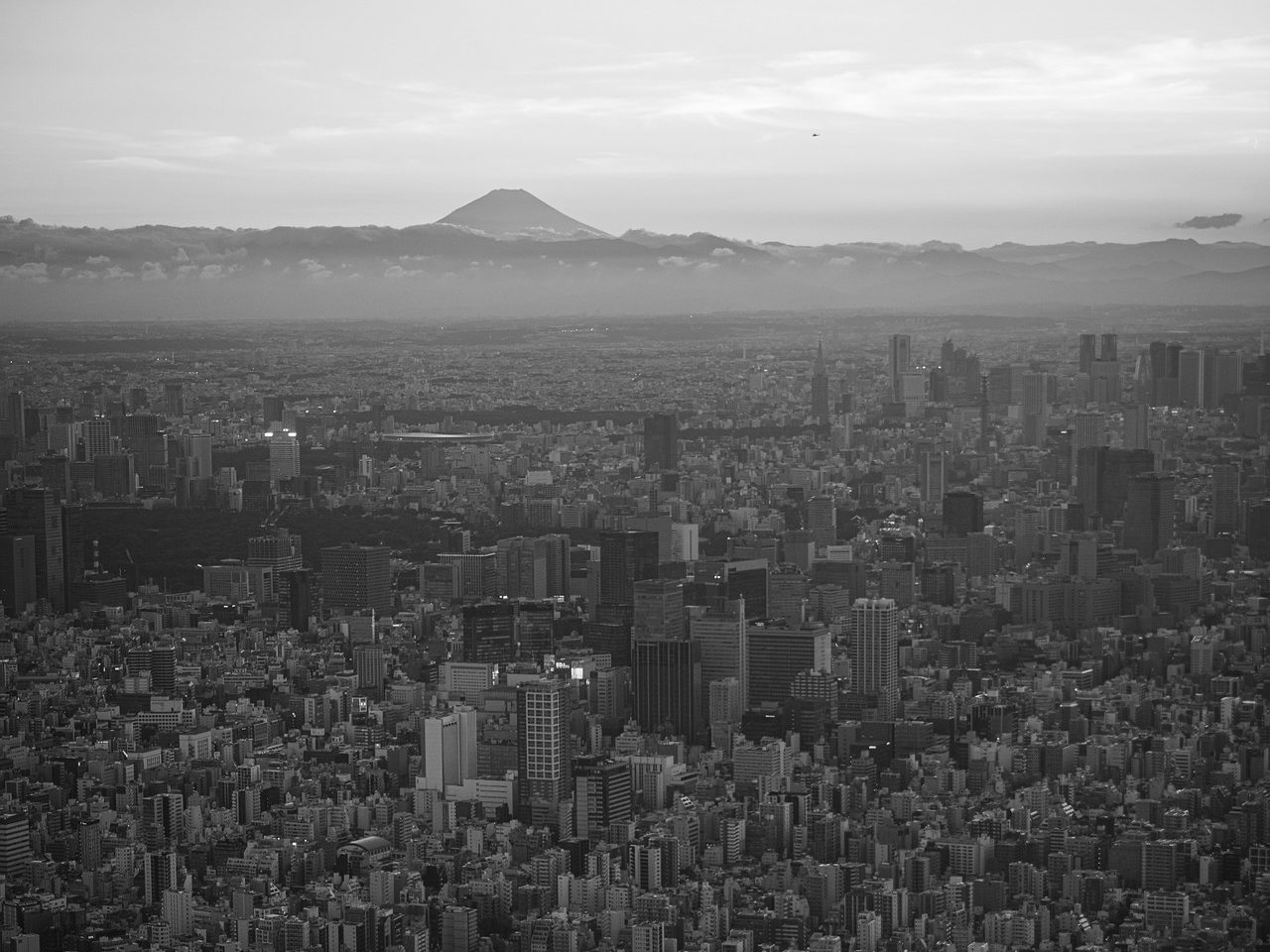 sky tree view