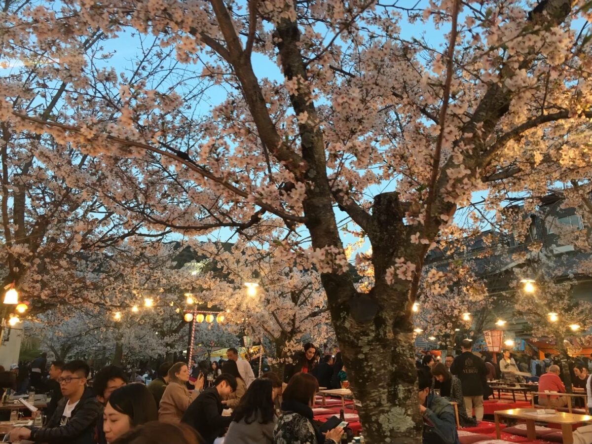 Maruyama park