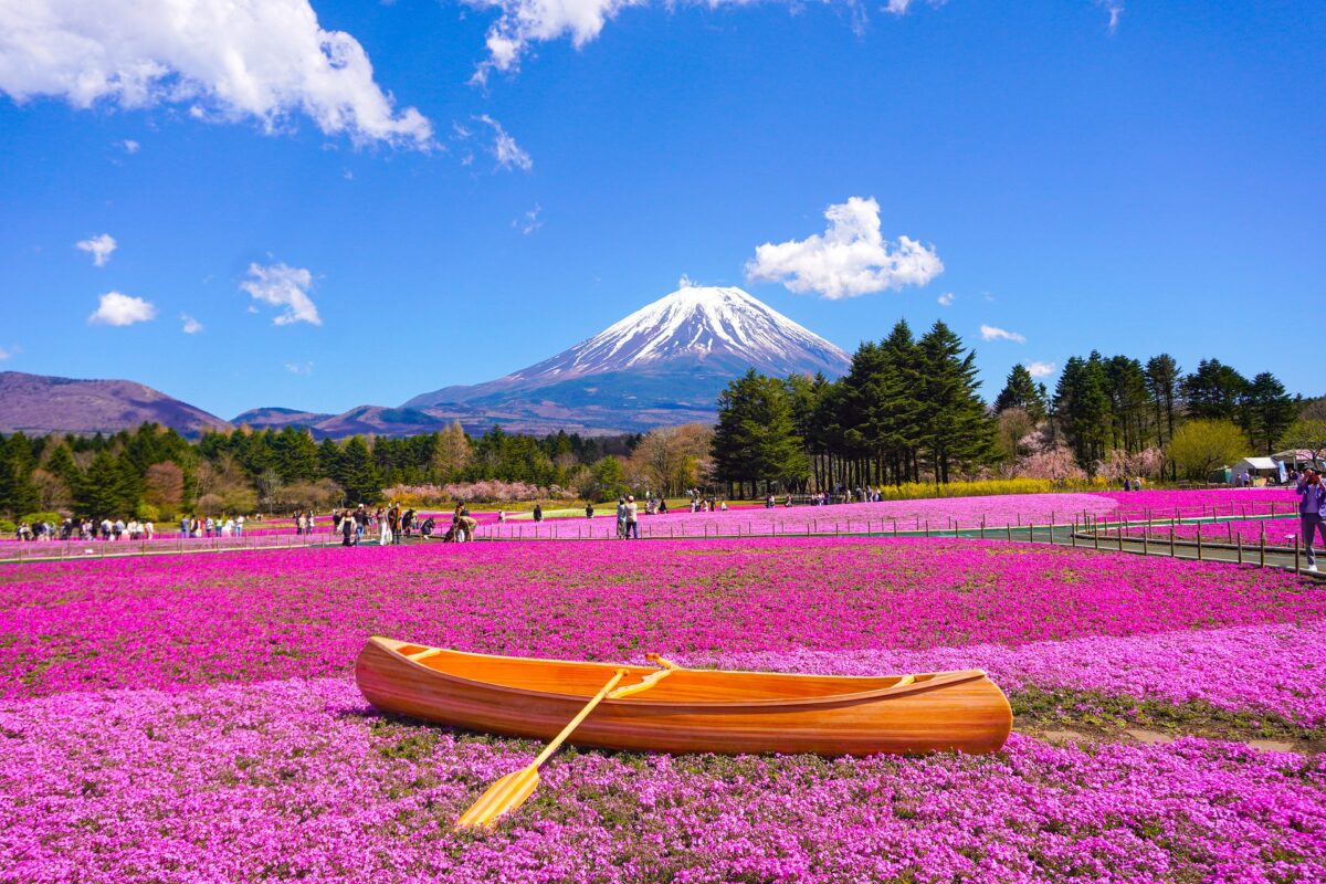 Mt.Fuji from Flower park