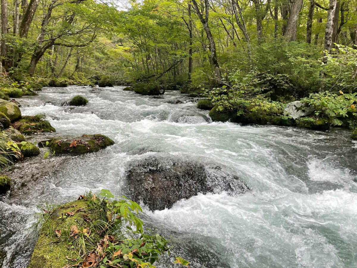 Oirase gorge