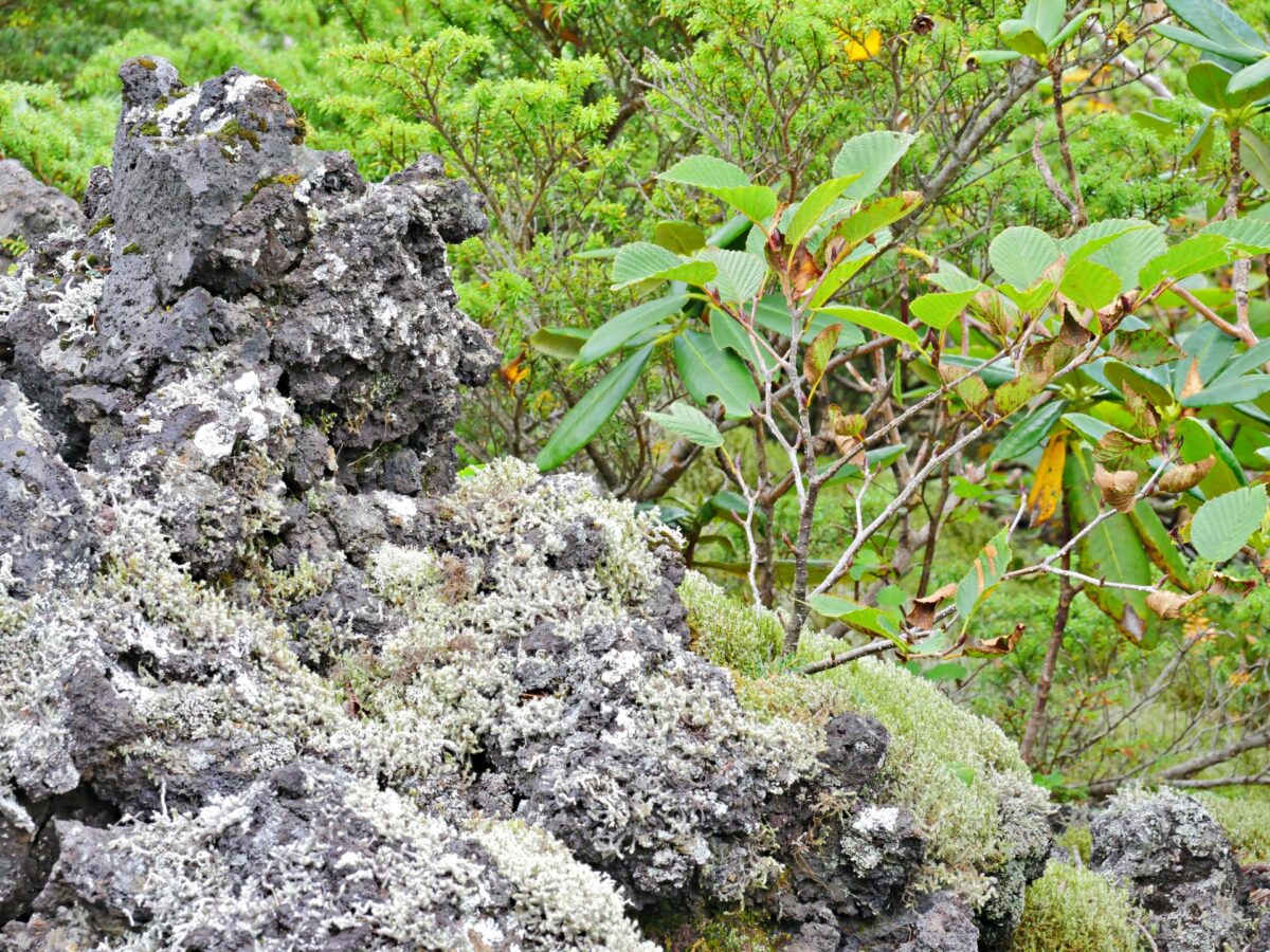 Volcano rock