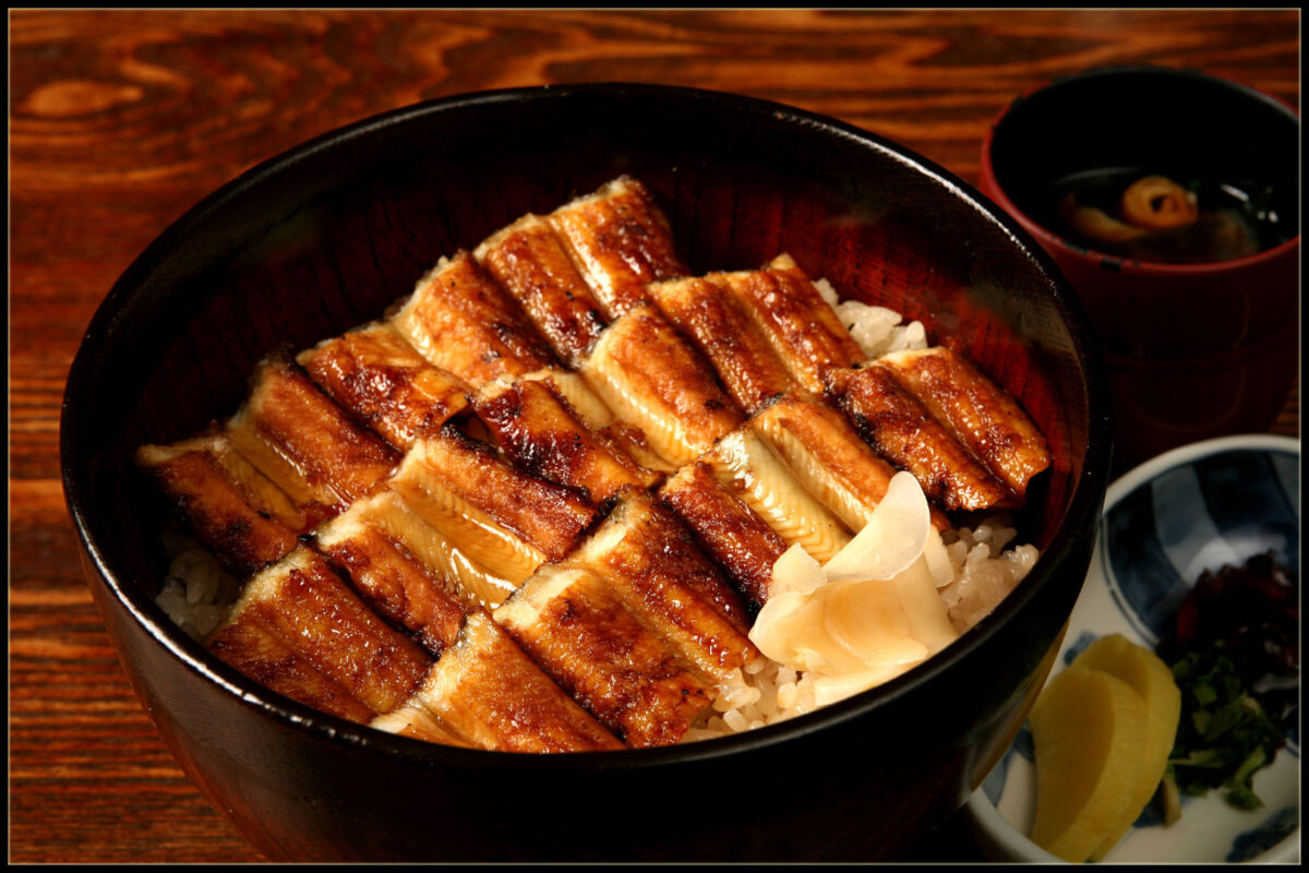 Eel with rice