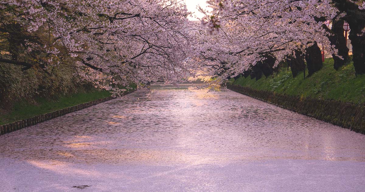 Hirosaki park